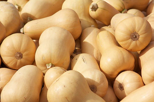 Fresh Butternut Squash